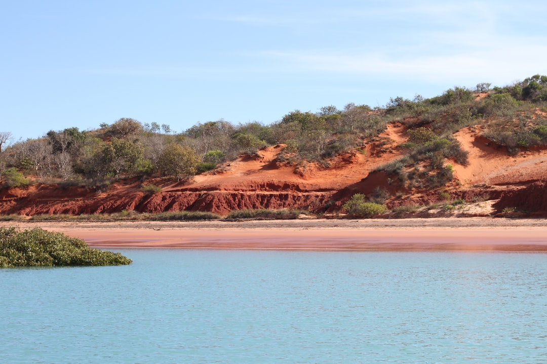 Pilbara Minerals and lithium sorting: economic survival in a depressed market